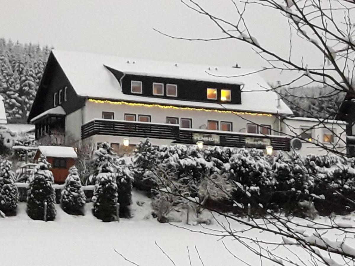 Pension Sauerland Winterberg Exterior foto