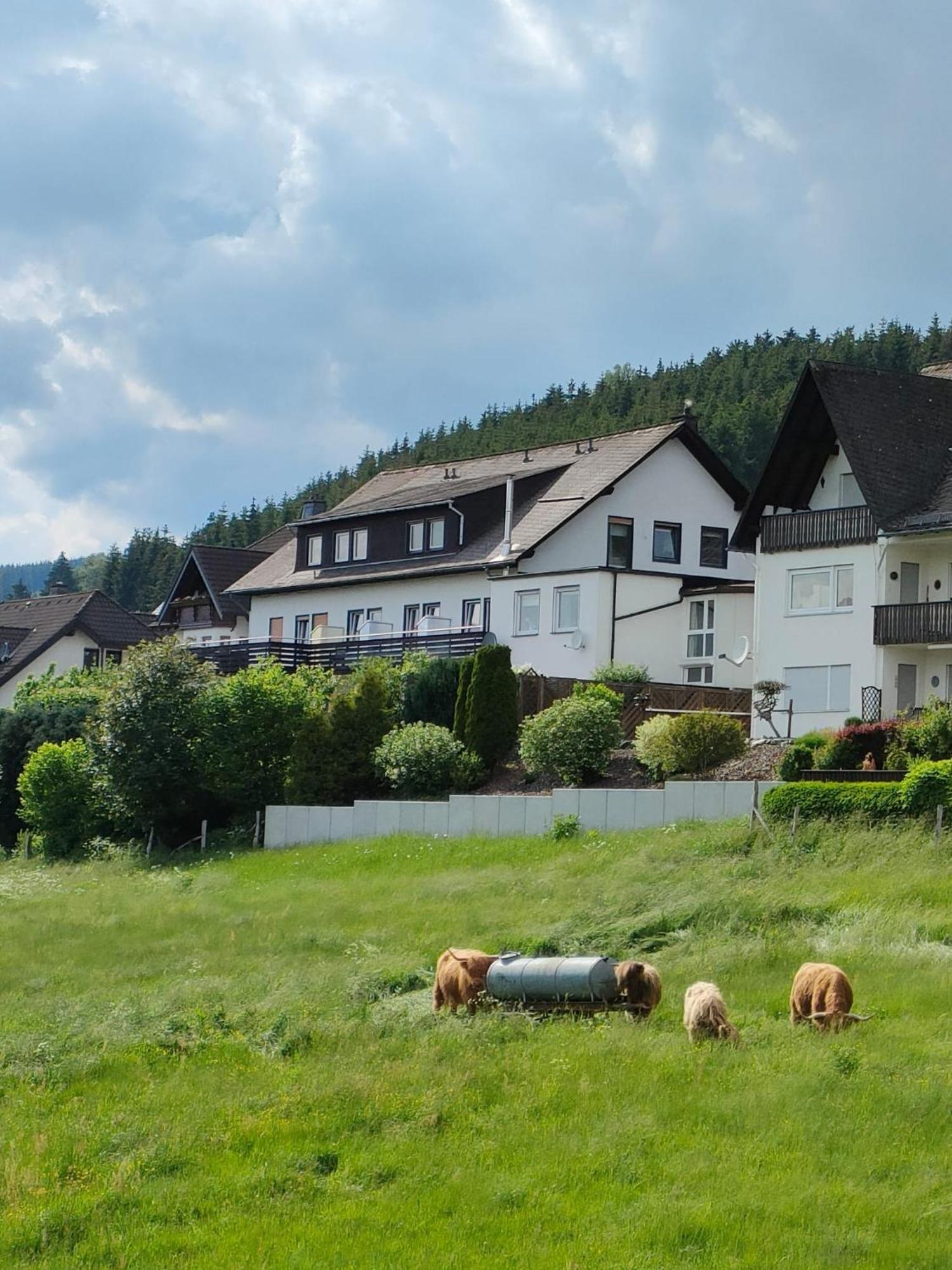 Pension Sauerland Winterberg Exterior foto